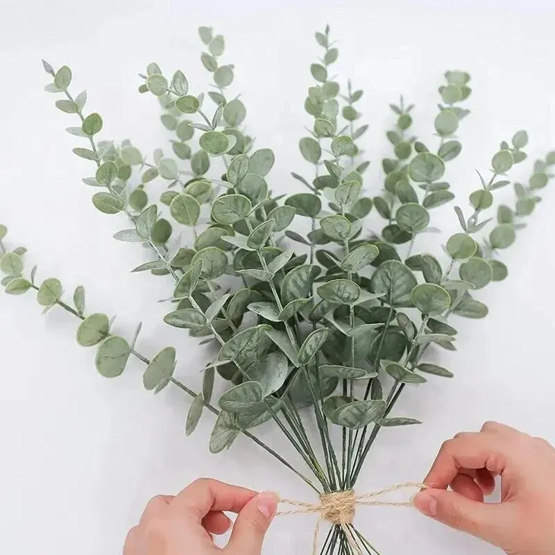 Eucalyptus Stems Bundle