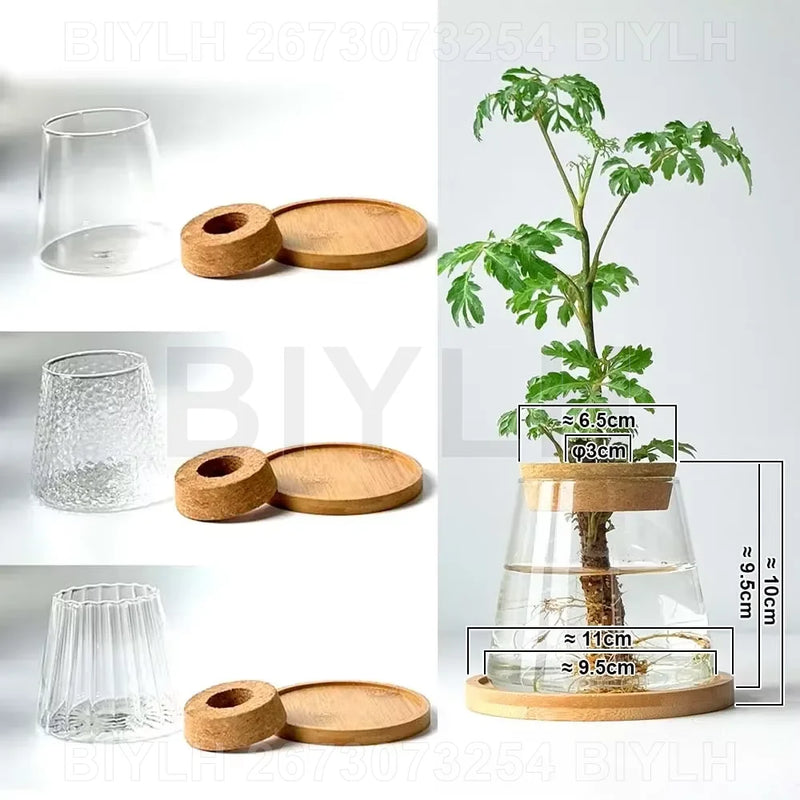 Hydroponic Glass Planters