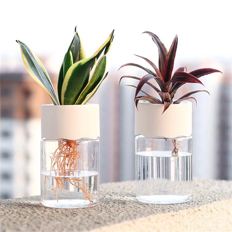 Hydroponic Glass Flower Pot
