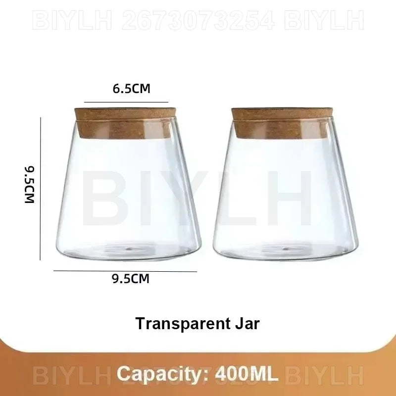 Hydroponic Glass Planters