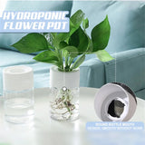 Hydroponic Glass Flower Pot