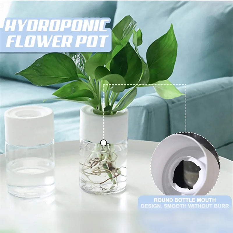 Hydroponic Glass Flower Pot