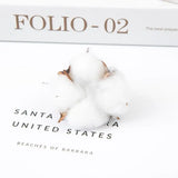 Realistic Cotton Floral Branches